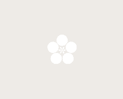 半期決算！【はんなり展】2/19(木)～2/22(日)